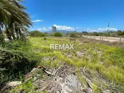 Vista 3