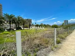 Vista 5