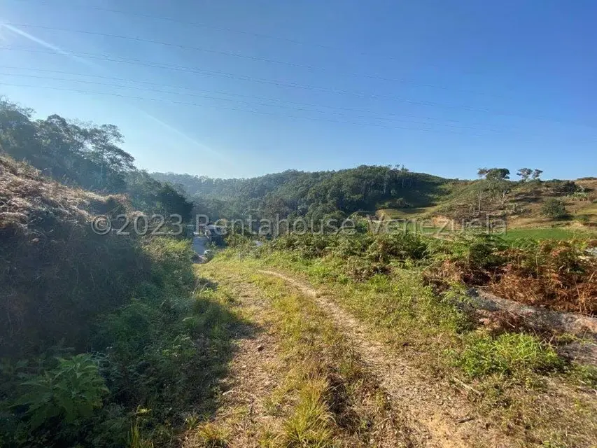 Terreno (Comercial) en Venta en Municipio Guaicaipuro, Miranda - 2