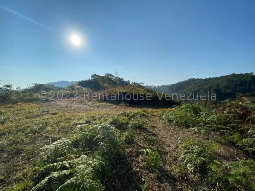 Terreno (Comercial) en Venta en Municipio Guaicaipuro, Miranda - 4