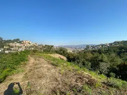View 6