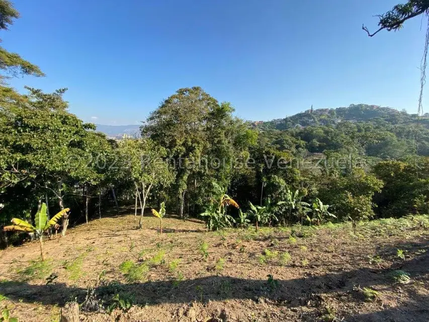 Terreno (Comercial) en Venta en Municipio Guaicaipuro, Miranda - 8