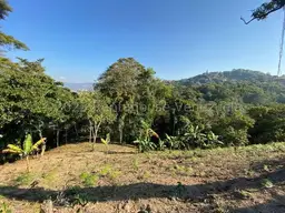 View 8