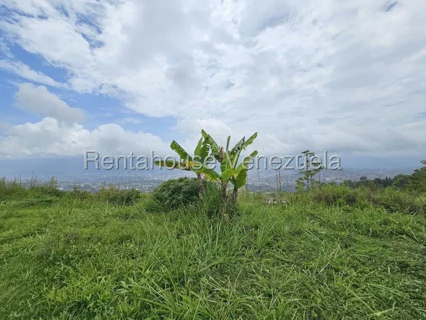 Terreno (Residencial) en Venta en Alto Hatillo, Distrito Metropolitano - 11