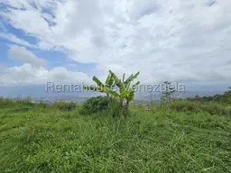 View 11
