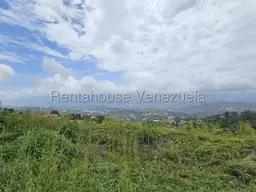 View 12