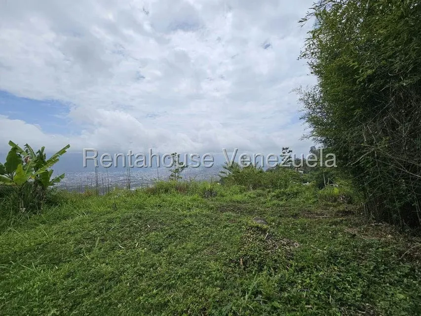 Terreno (Residencial) en Venta en Alto Hatillo, Distrito Metropolitano - 15