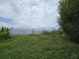 View 15