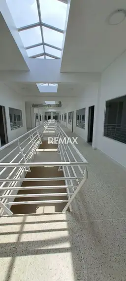 Vista 4
