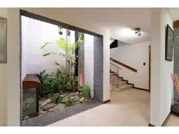 Vista 15
