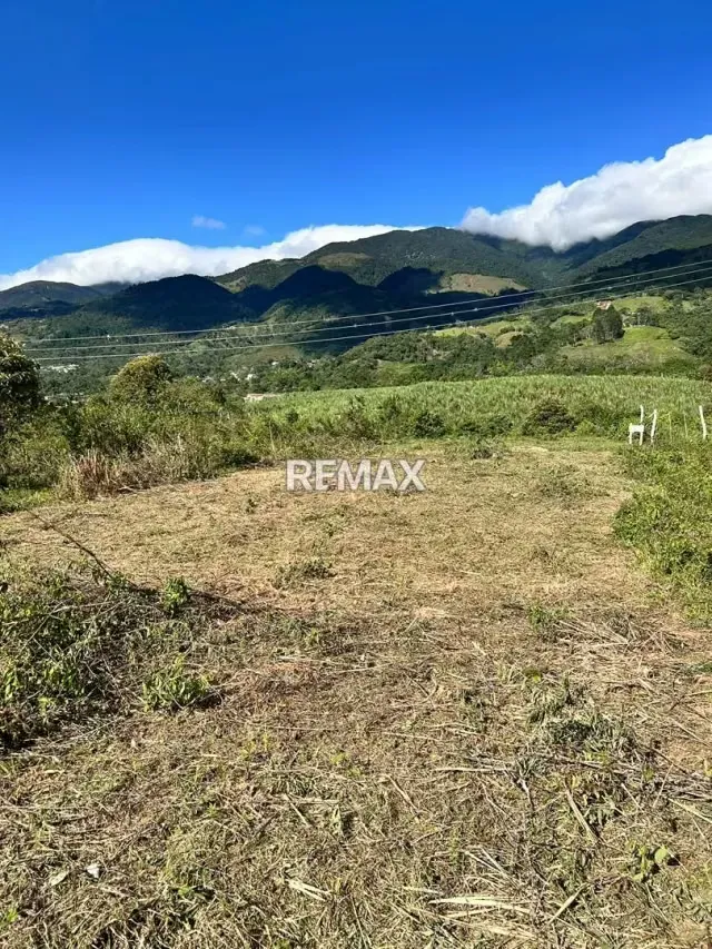 VENTA DE PARCELA PLANA CON TODOS LOS SERVICIOS - 3