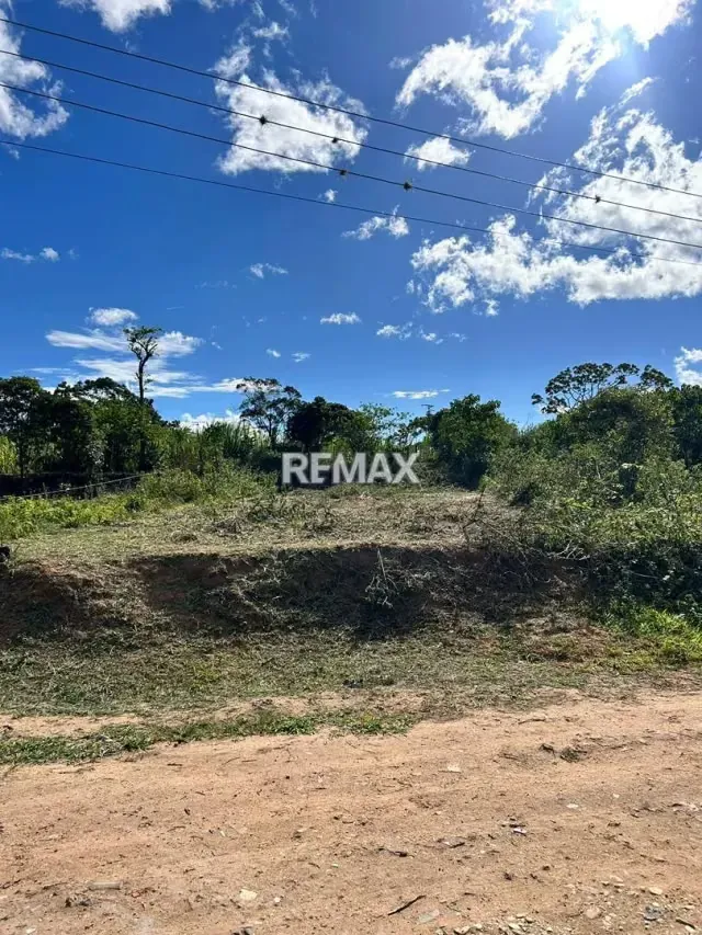 VENTA DE PARCELA PLANA CON TODOS LOS SERVICIOS - 6