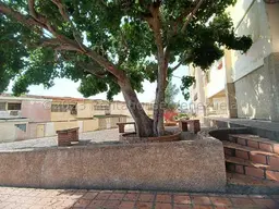 View 21