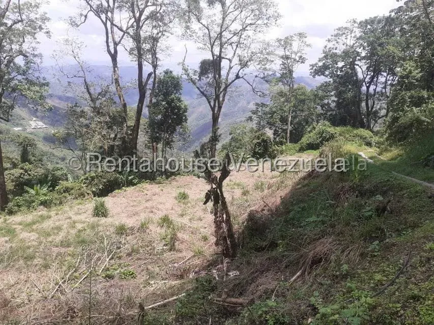 Terreno (Residencial) en Venta en San Diego de los Altos, Miranda - 3