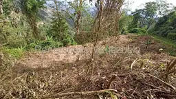 View 6