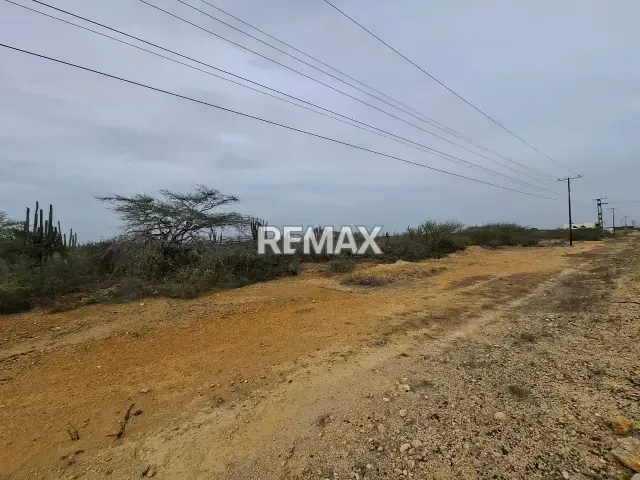 Terreno en Venta, Guanadito Norte, Los Taques. - 3