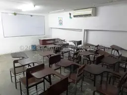 Vista 14
