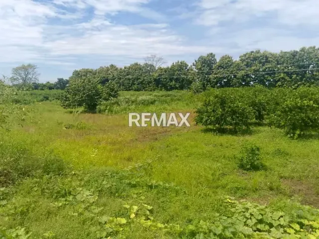 En Venta Parcela de 3 Ha con bienhechurias ubicada en Guanare, Colinas de Italven parte baja, Calle Principal, Sector Los Canales, a 2km de la Av. Bicentenaria, Guanare, Portuguesa, Venezuela - 11