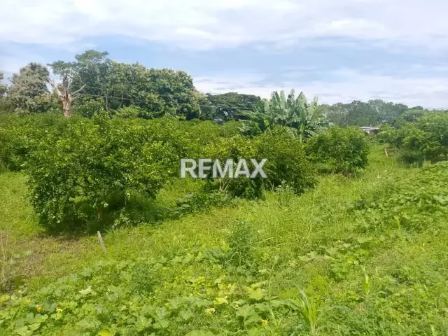 En Venta Parcela de 3 Ha con bienhechurias ubicada en Guanare, Colinas de Italven parte baja, Calle Principal, Sector Los Canales, a 2km de la Av. Bicentenaria, Guanare, Portuguesa, Venezuela - 13