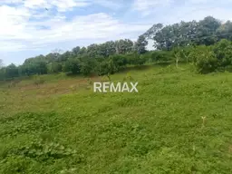 Vista 15