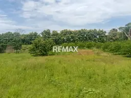 Vista 16