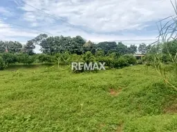Vista 18