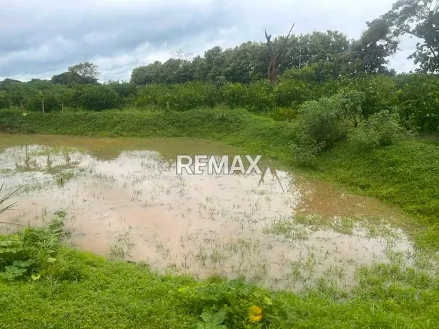 En Venta Parcela de 3 Ha con bienhechurias ubicada en Guanare, Colinas de Italven parte baja, Calle Principal, Sector Los Canales, a 2km de la Av. Bicentenaria, Guanare, Portuguesa, Venezuela - 2