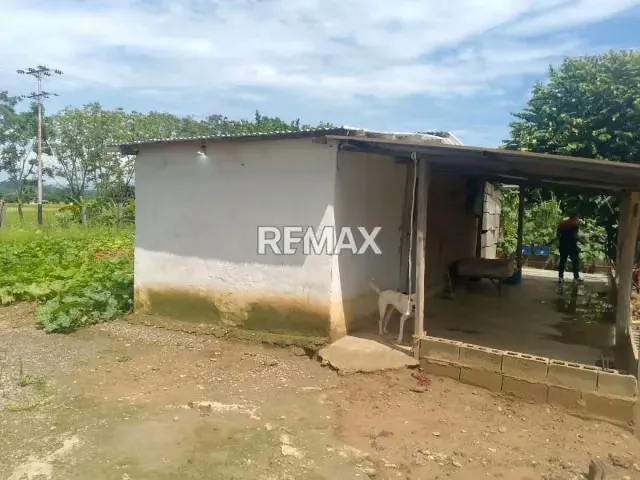 En Venta Parcela de 3 Ha con bienhechurias ubicada en Guanare, Colinas de Italven parte baja, Calle Principal, Sector Los Canales, a 2km de la Av. Bicentenaria, Guanare, Portuguesa, Venezuela - 4