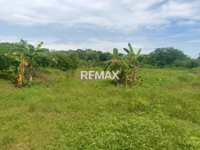 En Venta Parcela de 3 Ha con bienhechurias ubicada en Guanare, Colinas de Italven parte baja, Calle Principal, Sector Los Canales, a 2km de la Av. Bicentenaria, Guanare, Portuguesa, Venezuela - 5