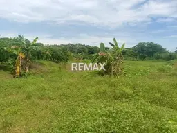 Vista 5