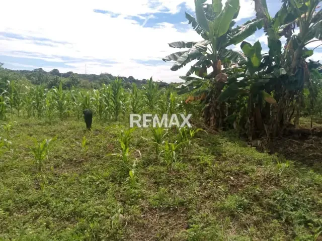 En Venta Parcela de 3 Ha con bienhechurias ubicada en Guanare, Colinas de Italven parte baja, Calle Principal, Sector Los Canales, a 2km de la Av. Bicentenaria, Guanare, Portuguesa, Venezuela - 7