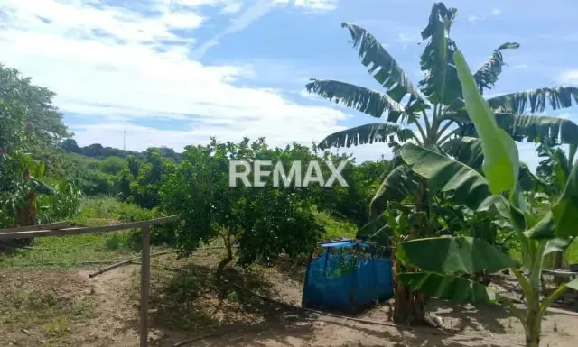 En Venta Parcela de 3 Ha con bienhechurias ubicada en Guanare, Colinas de Italven parte baja, Calle Principal, Sector Los Canales, a 2km de la Av. Bicentenaria, Guanare, Portuguesa, Venezuela - 8