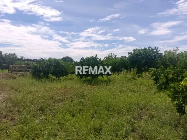 En Venta Parcela de 3 Ha con bienhechurias ubicada en Guanare, Colinas de Italven parte baja, Calle Principal, Sector Los Canales, a 2km de la Av. Bicentenaria, Guanare, Portuguesa, Venezuela - 9