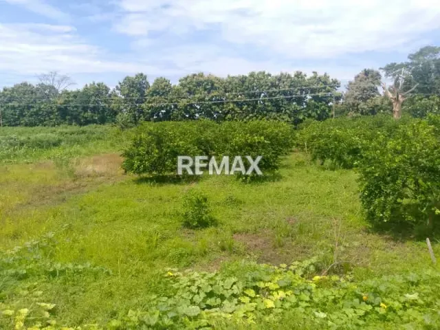 En Venta Parcela de 3 Ha con bienhechurias ubicada en Guanare, Colinas de Italven parte baja, Calle Principal, Sector Los Canales, a 2km de la Av. Bicentenaria, Guanare, Portuguesa, Venezuela - 10