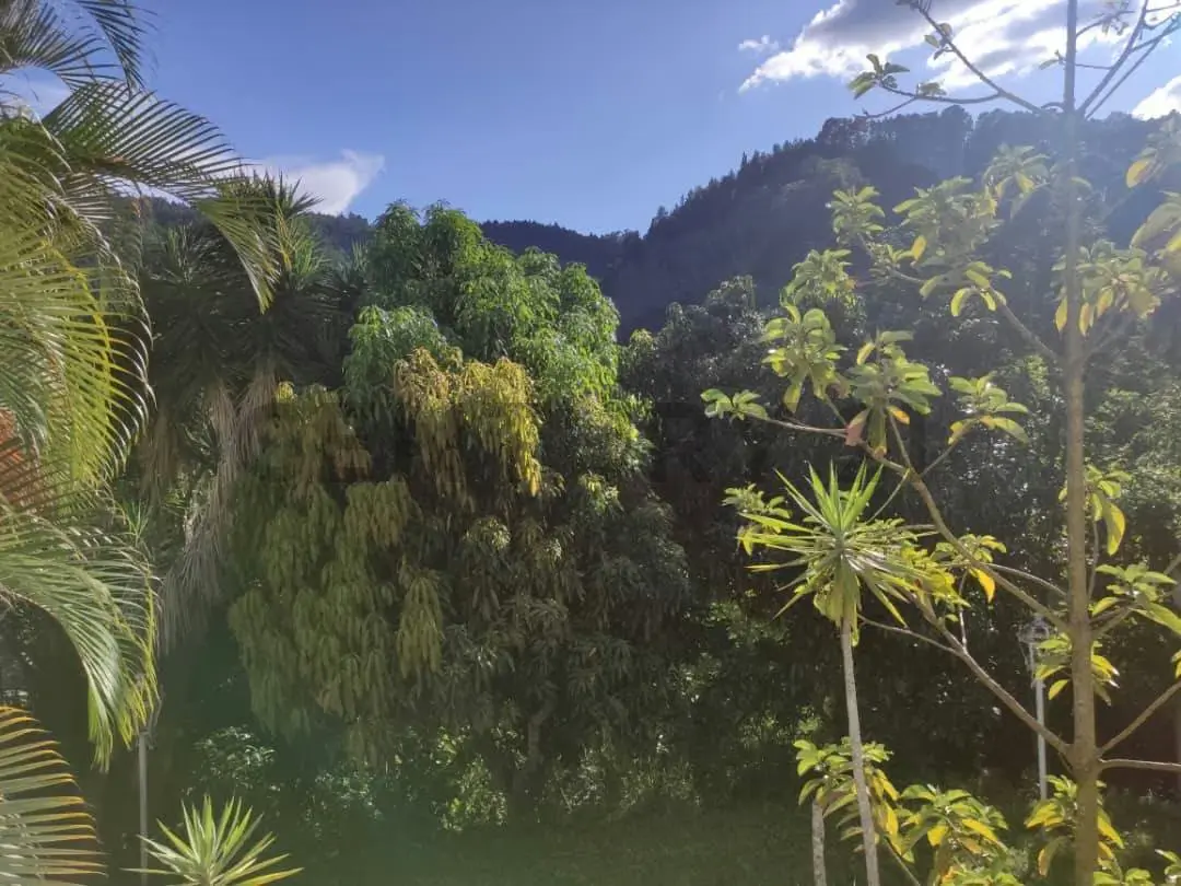Casa en venta, Lomas de Prados del Este - 16