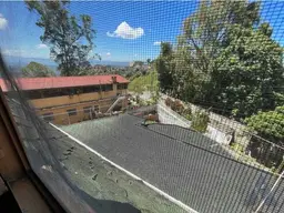 Vista 55