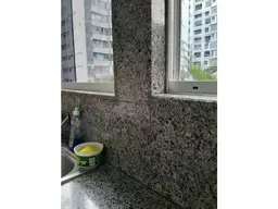 Vista 19