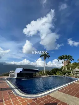 Vista 19