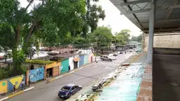 View 31