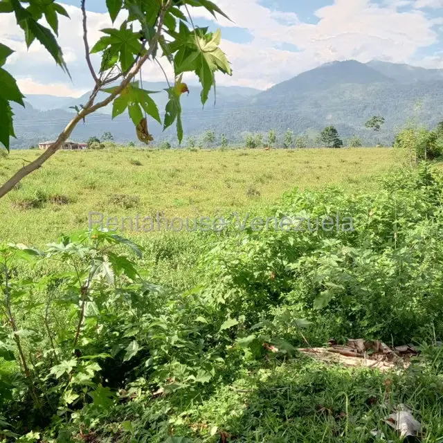 Terreno (Residencial) en Venta en El Portal, Tachira - 3