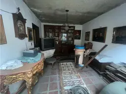 Vista 19