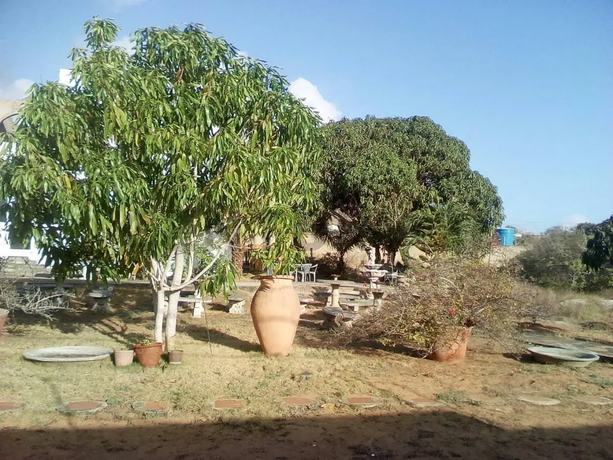 TERRENO EN LA MIRA - PLAYA EL AGUA ISLA DE MARGARITA - 3