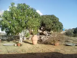 Vista 3