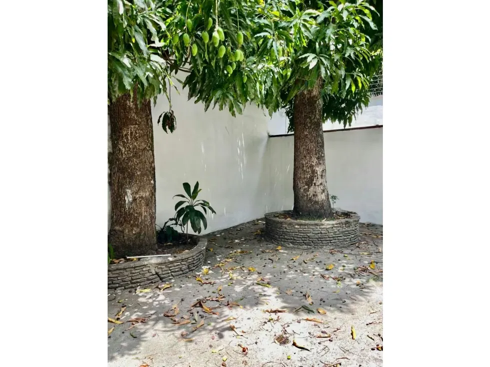 Se alquila casa 800m2 Altamira - 5
