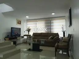 Vista 5