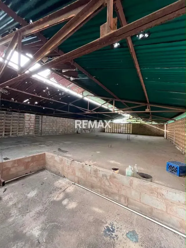 Local en Los Estanques - 5