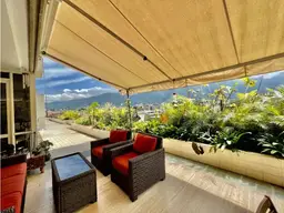 Vista 24