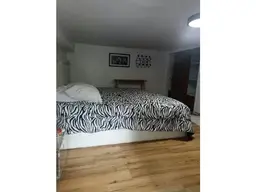 Vista 19