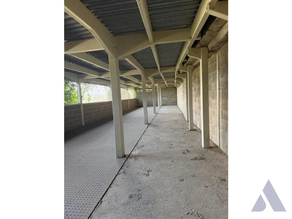 Vendo galpón industrial 2250m2 EL Placer 6502 - 3
