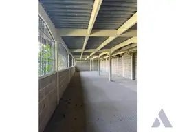 Vista 4